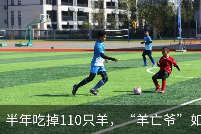 半年吃掉110只羊，“羊亡爷”如今连一碗粥都喝不利索