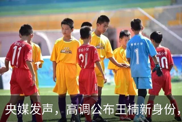 央媒发声，高调公布王楠新身份，资产查封被带走调查传闻早有真相