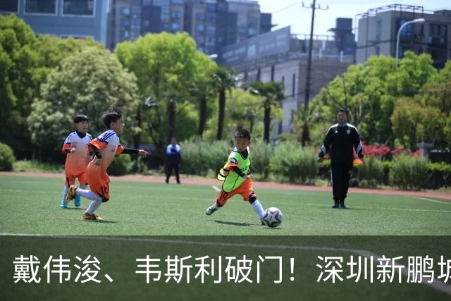 戴伟浚、韦斯利破门！深圳新鹏城主场收官战2-1上海申花