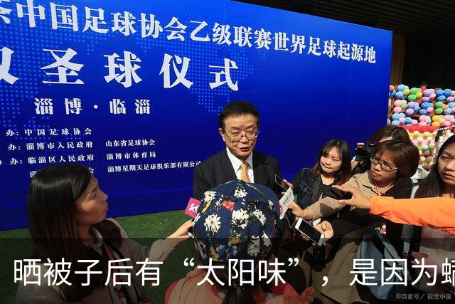 晒被子后有“太阳味”，是因为螨虫被烤焦了？科学家：太阳的功劳