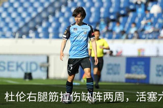 杜伦右腿筋拉伤缺阵两周，活塞六场硬仗内线告急