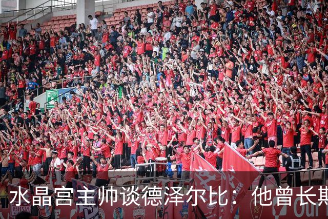 水晶宫主帅谈德泽尔比：他曾长期是我的榜样 向他学习过如何踢球