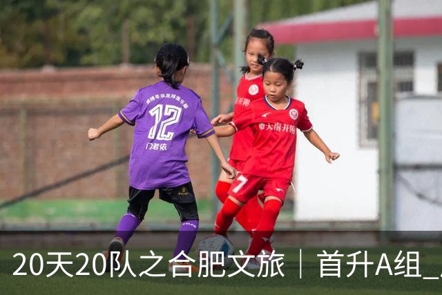 20天20队之合肥文旅｜首升A组 广东新锐加盟补强内外援框架落定