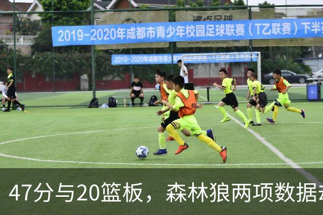 47分与20篮板，森林狼两项数据却换不来一场胜利