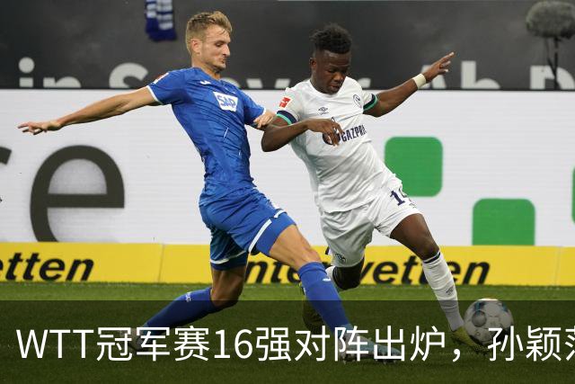 WTT冠军赛16强对阵出炉，孙颖莎火力全开，申裕斌运气太差
